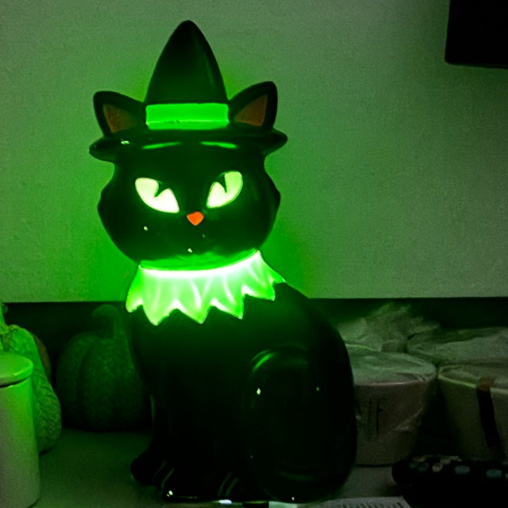 Target Hyde & Eek Boutique Light up Black Cat Blowmold